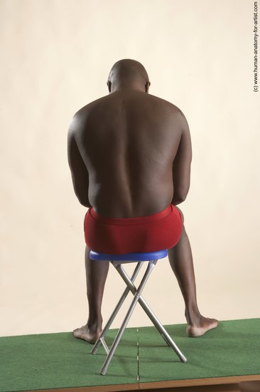 Underwear Man White Sitting poses - simple Average Short Brown Sitting poses - ALL Academic