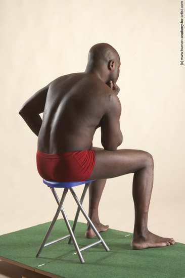 Underwear Man White Sitting poses - simple Average Short Brown Sitting poses - ALL Academic