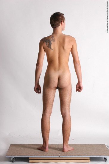 Nude Man White Standing poses - ALL Slim Short Brown Standing poses - simple Realistic