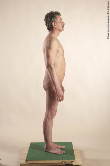 Nude Man White Standing poses - ALL Slim Short Grey Standing poses - simple Realistic