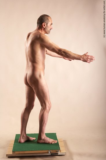 Nude Man White Standing poses - ALL Slim Bald Standing poses - simple Realistic