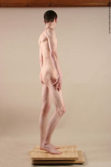 Nude Man White Standing poses - ALL Underweight Short Brown Standing poses - simple Realistic