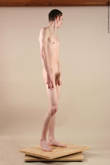 Nude Man White Standing poses - ALL Underweight Short Brown Standing poses - simple Realistic