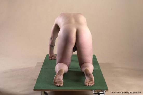 Nude Man White Kneeling poses - ALL Average Long Brown Kneeling poses - on both knees Realistic