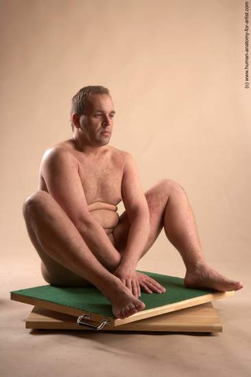 Nude Man White Sitting poses - simple Average Short Brown Sitting poses - ALL Realistic