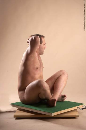 Nude Man White Sitting poses - simple Average Short Brown Sitting poses - ALL Realistic