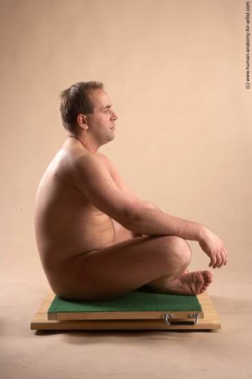 Nude Man White Sitting poses - simple Average Short Brown Sitting poses - ALL Realistic