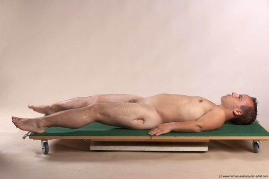 Nude Man White Laying poses - ALL Slim Short Brown Laying poses - on back Realistic