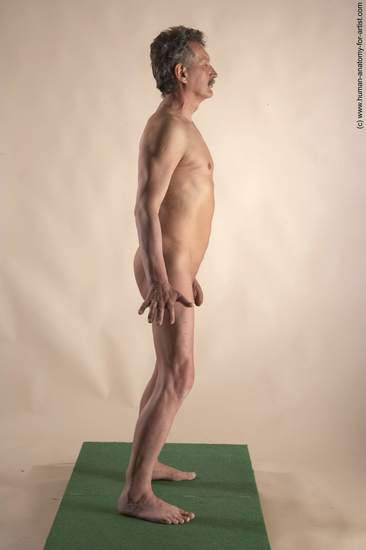 Nude Man White Standing poses - ALL Slim Short Grey Standing poses - simple Realistic