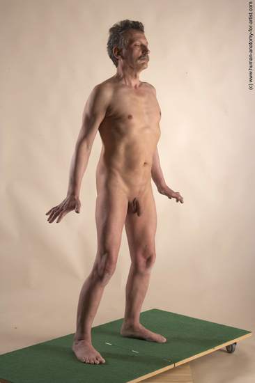 Nude Man White Standing poses - ALL Slim Short Grey Standing poses - simple Realistic