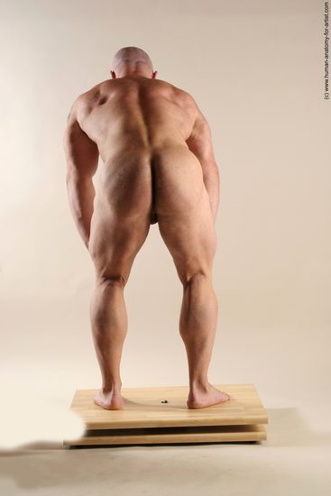 Nude Man White Standing poses - ALL Muscular Short Brown Standing poses - simple Realistic