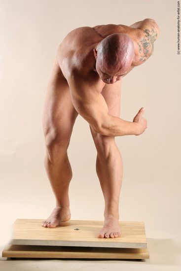 Nude Man White Laying poses - ALL Muscular Short Brown Laying poses - on back Realistic