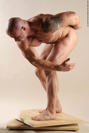 Nude Man White Laying poses - ALL Muscular Short Brown Laying poses - on back Realistic