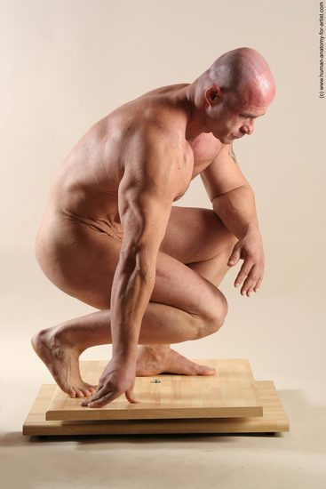 Nude Man White Sitting poses - simple Muscular Short Brown Sitting poses - ALL Realistic