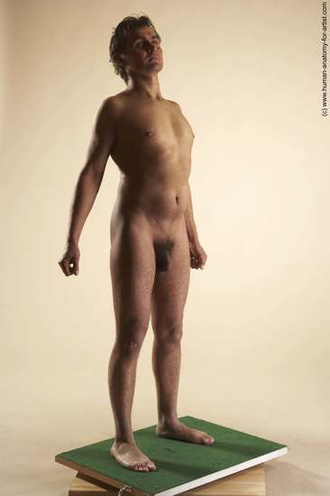 Nude Man White Standing poses - ALL Slim Short Brown Standing poses - simple Realistic