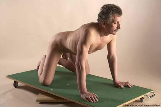 Nude Man White Kneeling poses - ALL Slim Short Grey Kneeling poses - on both knees Realistic