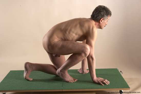 Nude Man White Kneeling poses - ALL Slim Short Grey Kneeling poses - on one knee Realistic