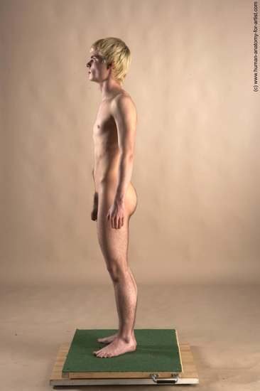 Nude Man White Standing poses - ALL Slim Short Blond Standing poses - simple Realistic