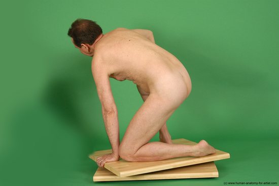 Nude Man White Kneeling poses - ALL Slim Short Brown Kneeling poses - on both knees Realistic