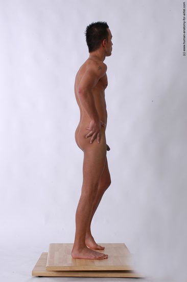 Nude Man White Standing poses - ALL Slim Short Brown Standing poses - simple Realistic