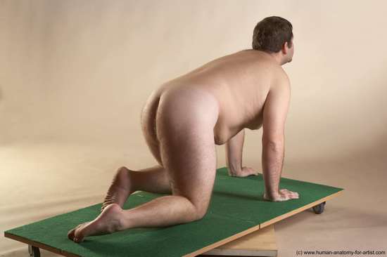 Nude Man White Kneeling poses - ALL Slim Short Brown Kneeling poses - on both knees Realistic