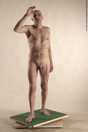 Nude Man White Standing poses - ALL Slim Bald Standing poses - simple Realistic