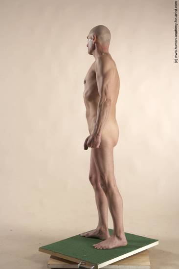 Nude Man White Standing poses - ALL Slim Bald Standing poses - simple Realistic