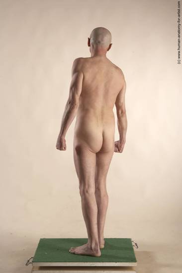 Nude Man White Standing poses - ALL Slim Bald Standing poses - simple Realistic