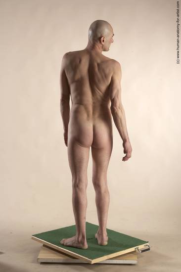 Nude Man White Standing poses - ALL Slim Bald Standing poses - simple Realistic