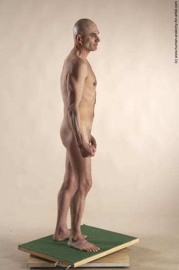 Nude Man White Standing poses - ALL Slim Bald Standing poses - simple Realistic