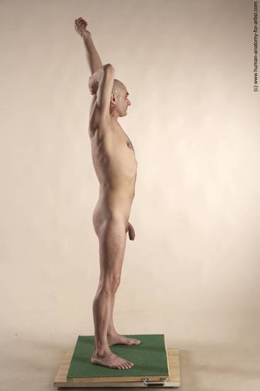 Nude Man White Standing poses - ALL Slim Bald Standing poses - simple Realistic