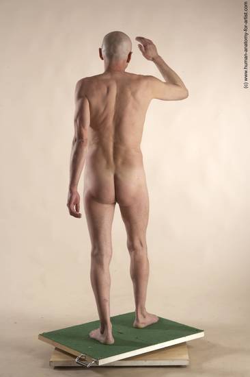 Nude Man White Standing poses - ALL Slim Bald Standing poses - simple Realistic