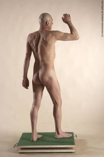 Nude Man White Standing poses - ALL Slim Bald Standing poses - simple Realistic