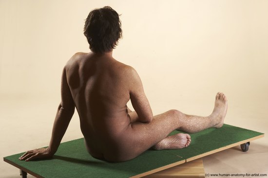 Nude Man White Sitting poses - simple Average Short Brown Sitting poses - ALL Realistic