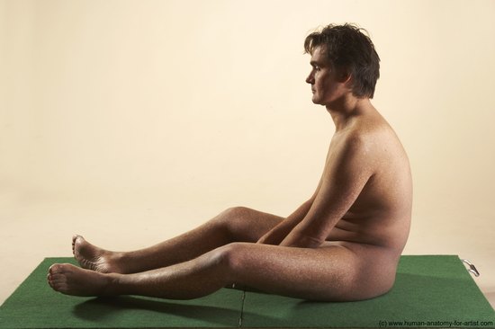 Nude Man White Sitting poses - simple Average Short Brown Sitting poses - ALL Realistic