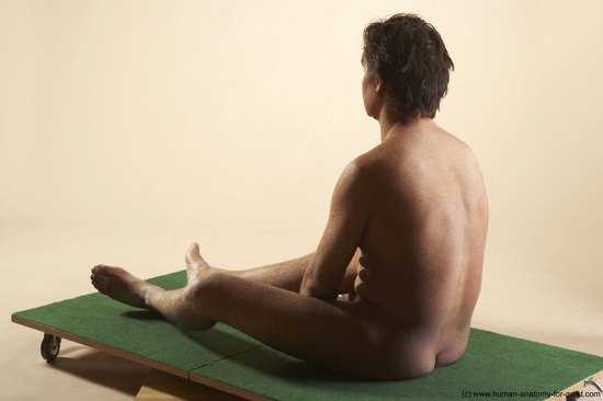 Nude Man White Sitting poses - simple Average Short Brown Sitting poses - ALL Realistic