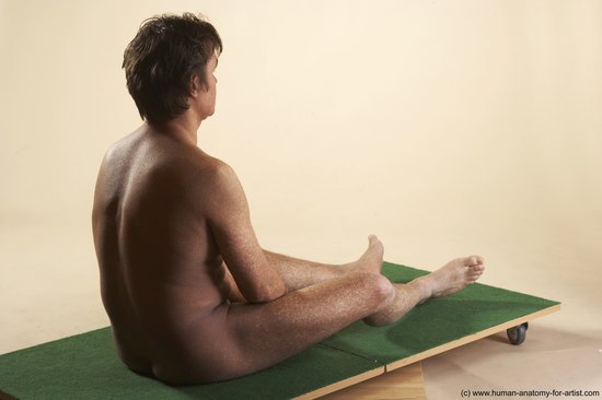 Nude Man White Sitting poses - simple Average Short Brown Sitting poses - ALL Realistic