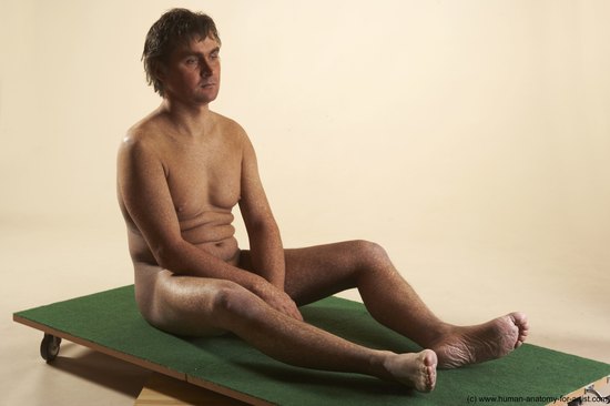 Nude Man White Sitting poses - simple Average Short Brown Sitting poses - ALL Realistic