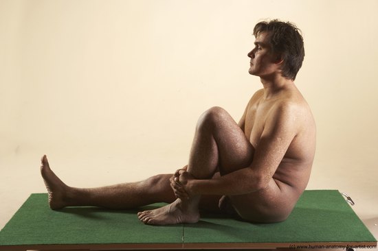 Nude Man White Sitting poses - simple Average Short Brown Sitting poses - ALL Realistic