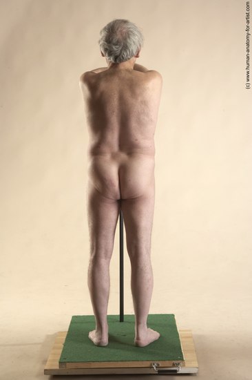 Nude Man White Standing poses - ALL Average Bald Grey Standing poses - simple Realistic