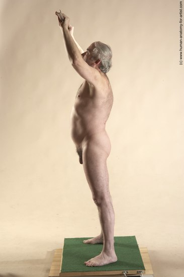 Nude Man White Standing poses - ALL Average Bald Grey Standing poses - simple Realistic