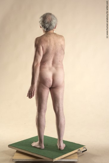 Nude Man White Standing poses - ALL Average Bald Grey Standing poses - simple Realistic