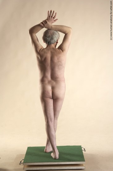 Nude Man White Standing poses - ALL Average Bald Grey Standing poses - simple Realistic