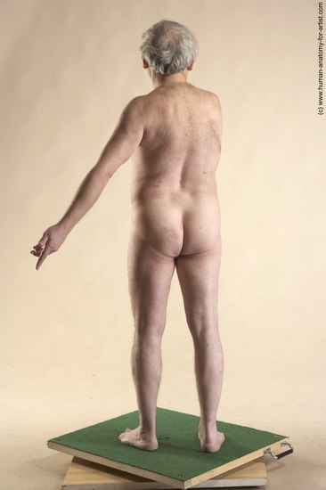 Nude Man White Standing poses - ALL Average Bald Grey Standing poses - simple Realistic