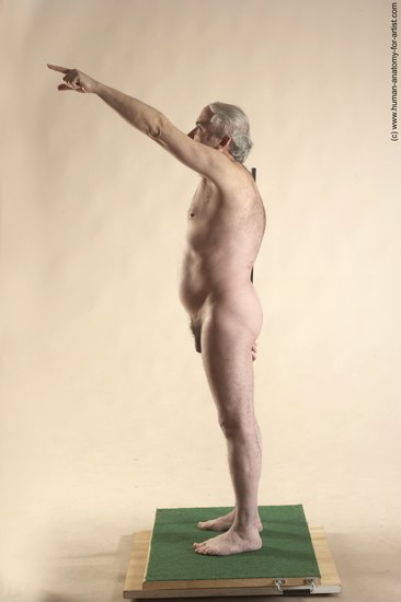 Nude Man White Standing poses - ALL Average Bald Grey Standing poses - simple Realistic