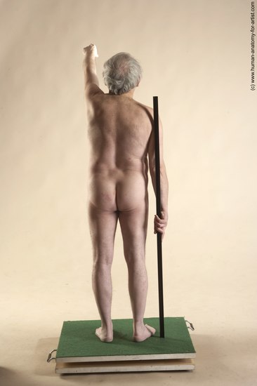 Nude Man White Standing poses - ALL Average Bald Grey Standing poses - simple Realistic