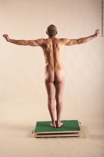 Nude Man White Standing poses - ALL Slim Bald Standing poses - simple Realistic