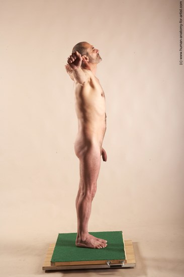 Nude Man White Standing poses - ALL Slim Bald Standing poses - simple Realistic