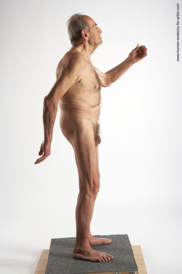 and more Nude Man White Standing poses - ALL Slim Bald Grey Standing poses - simple Realistic