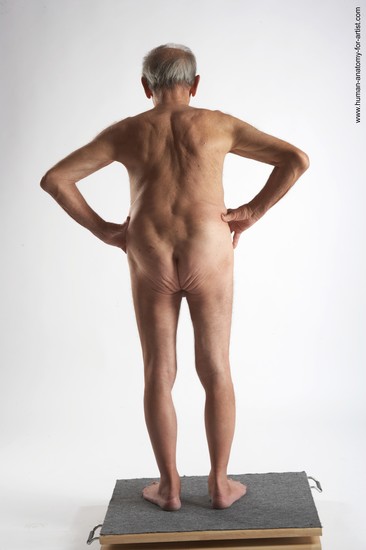 and more Nude Man White Standing poses - ALL Slim Bald Grey Standing poses - simple Realistic